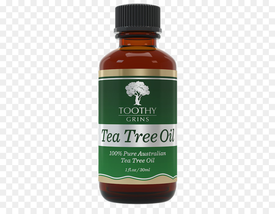 Olio dell'albero del tè Strette foglie paperbark pianta del Tè - Olio dell'albero del tè