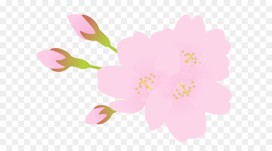 Mallows thiết kế Hoa Cánh Hoa Blossom - flora động vật serenella