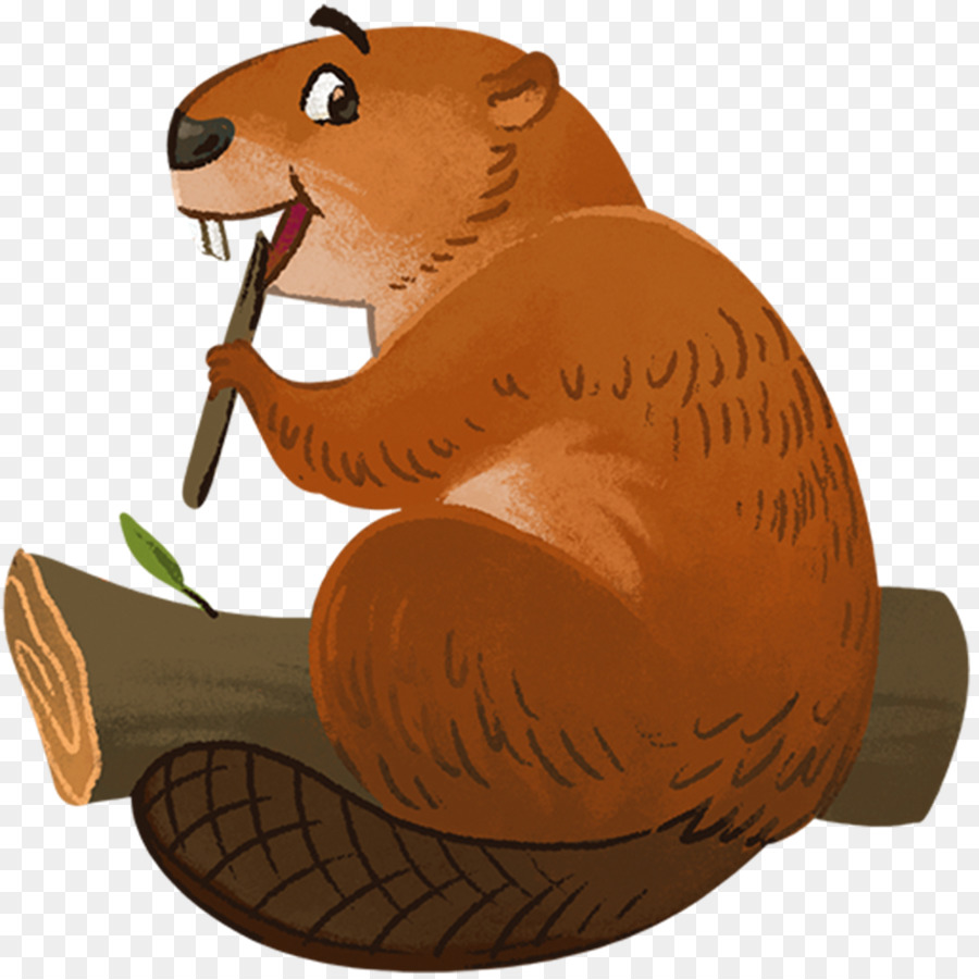 Roditore Americano beaver Bear, Stati Uniti - americano