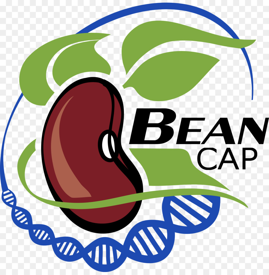 Progettazione grafica Logo del Marchio Frutta Clip art - Design