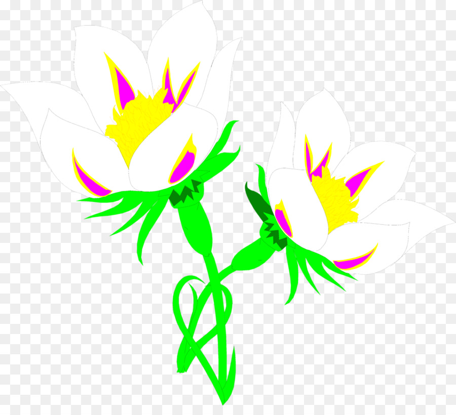Gigli Giglio Fletcher Clip art - fiore bianco, illustrazione