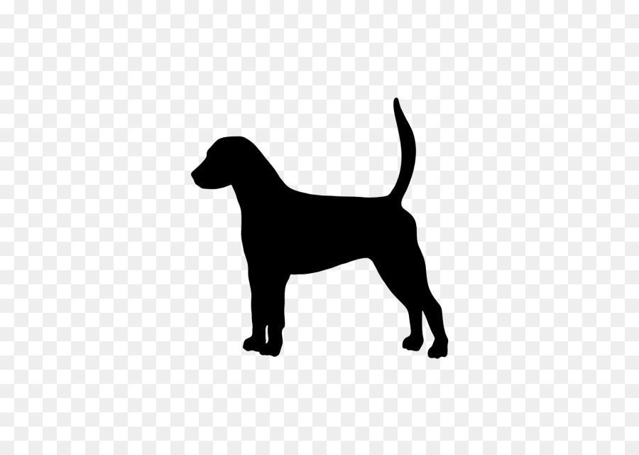 Labrador Retriever Cucciolo di Cane di razza English Foxhound American Foxhound - cucciolo