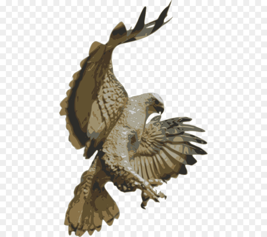 Red-tailed hawk Accipitriformes Clip-art - Falcon