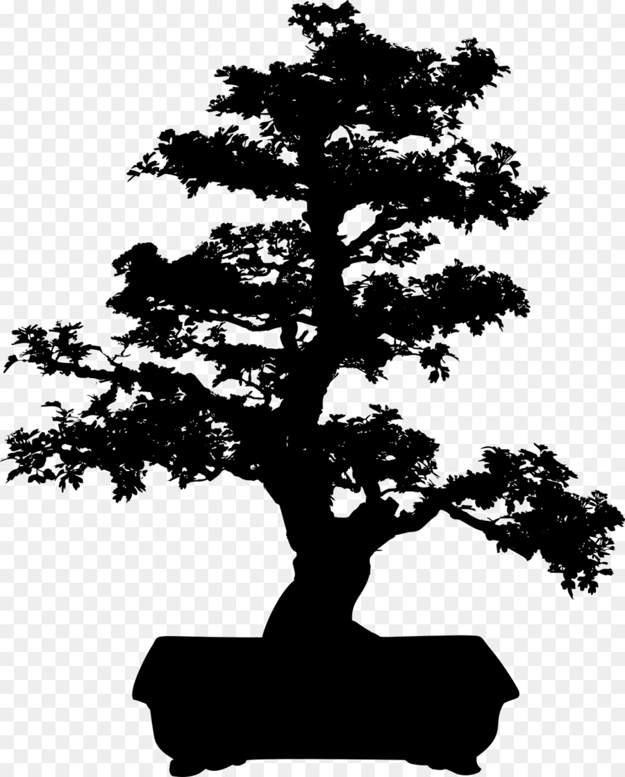 Tree Branch Silhouette Png Download 1029 1280 Free Transparent Bonsai Png Download Cleanpng Kisspng