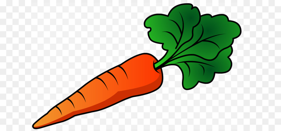 Carrot Cartoon png download - 1280*590 - Free Transparent Carrot png  Download. - CleanPNG / KissPNG