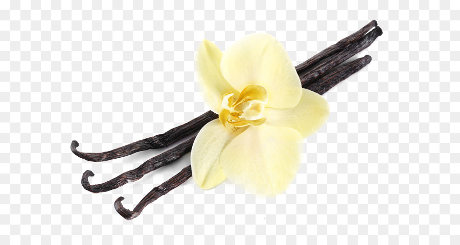 Gelato alla Vaniglia Arancia aceto Balsamico Sapore - bacca di vaniglia