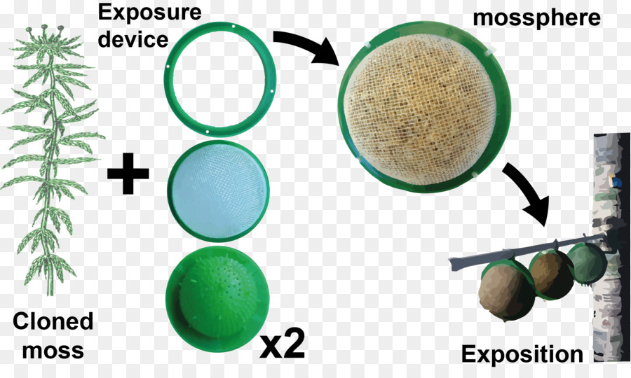 Mossclone Sphagnum palustre Bioreaktor Luftverschmutzung - Luftverschmutzung Diagramm