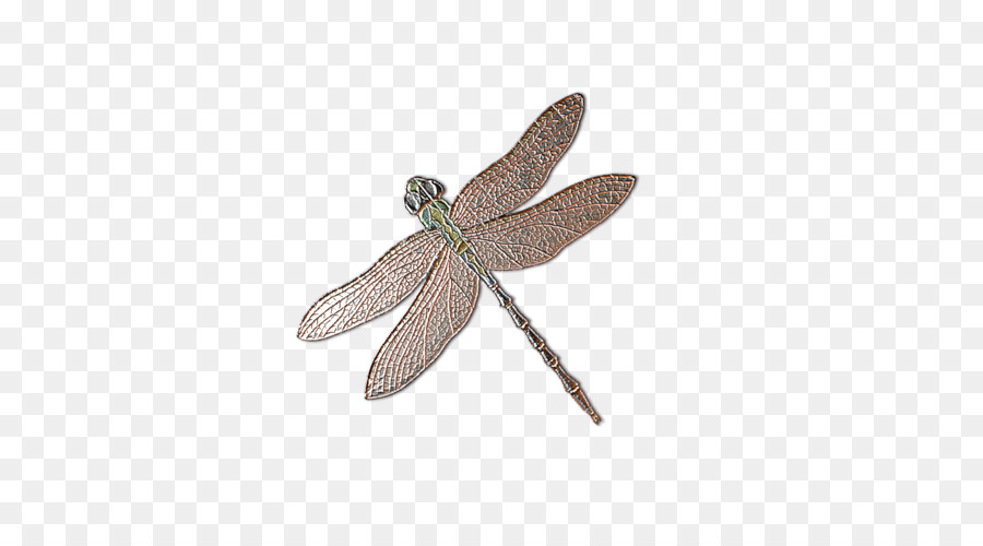 Libelle, Insekt, Schmetterling, Clip art - Libelle