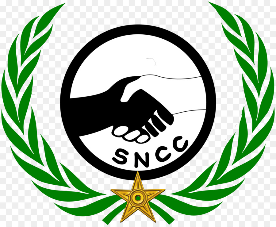 Nazioni unite, risoluzione del Consiglio di Sicurezza delle Nazioni Unite a Nairobi Modello delle Na - gli uomini del movimento per i diritti