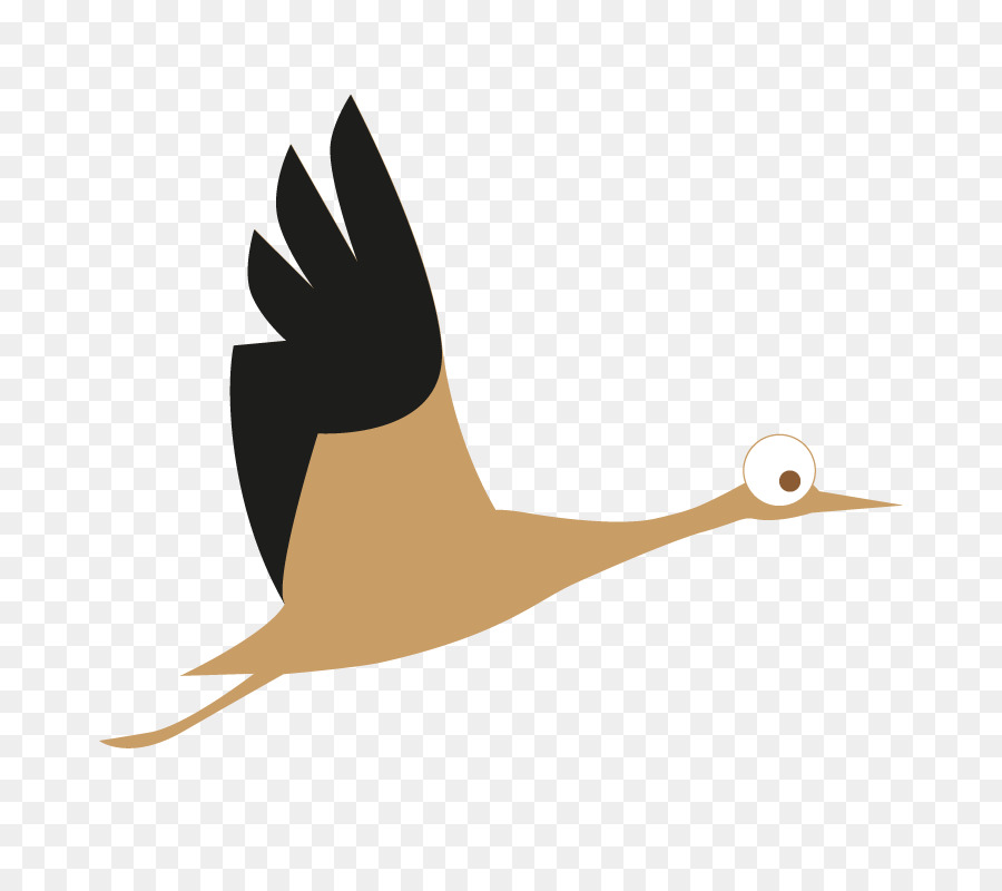 Uccello acquatico d'Oca Anatra Cygnini - bambini giardino
