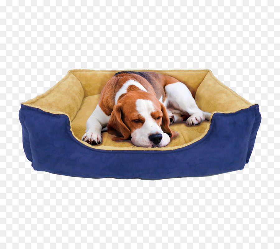 Bed Cartoon png download - 800*800 - Free Transparent Puppy png Download. -  CleanPNG / KissPNG