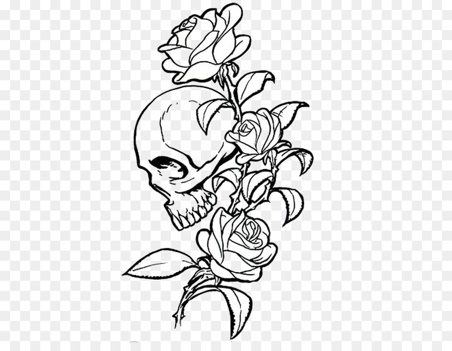 Cranio umano simbolismo della Rosa Calavera Disegno - cranio