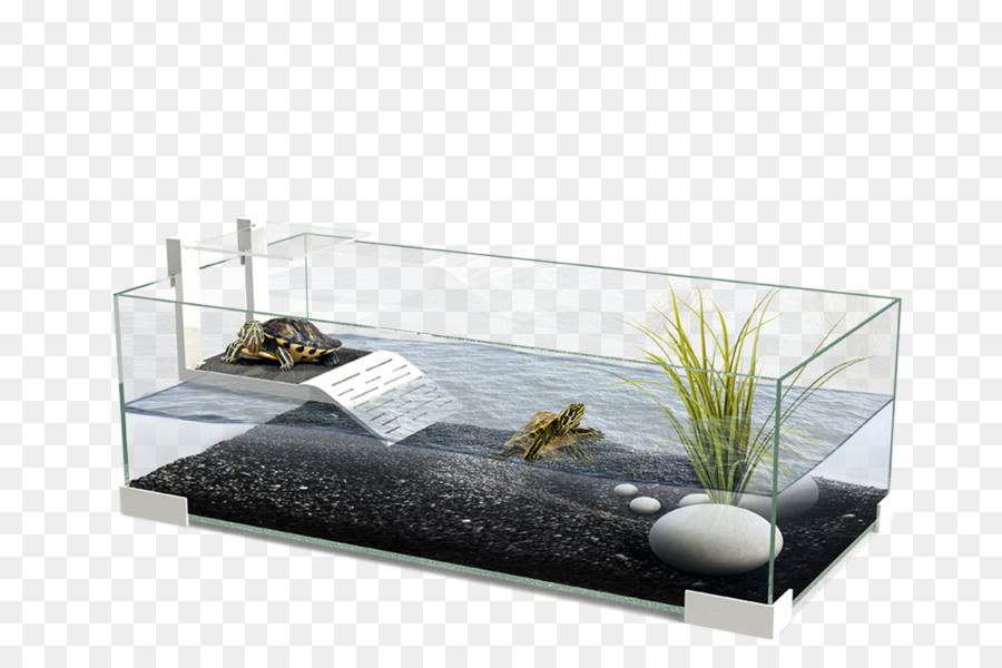 Schildkröte, Reptil, Aquarium, Echse Terrarium - Aquarium