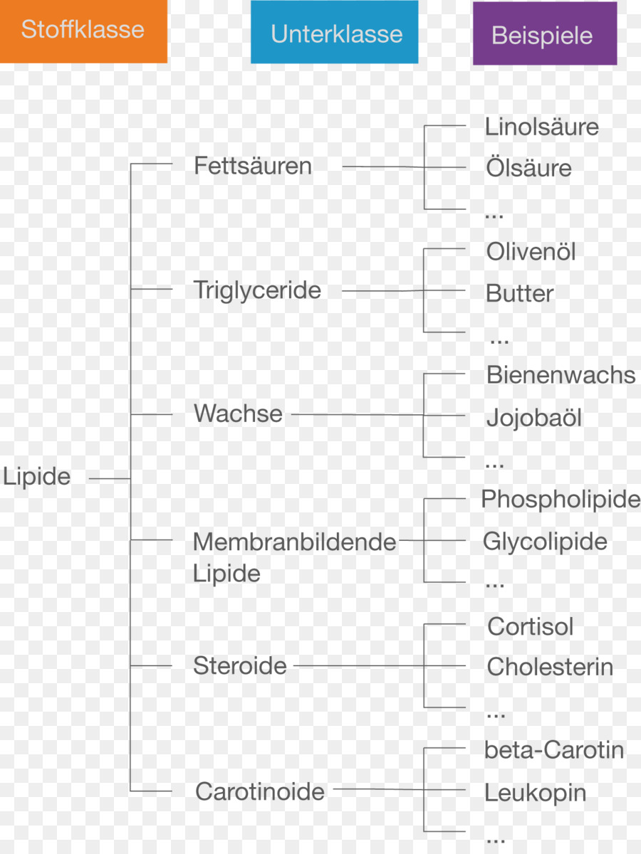 Lipidi Grasso Famiglia di composti di Trigliceridi Dieta - oel