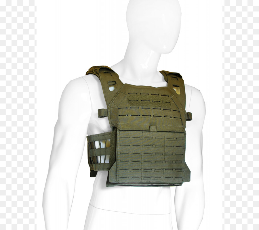 Soldat Plate Carrier System Airsoft Idee Definition - andere