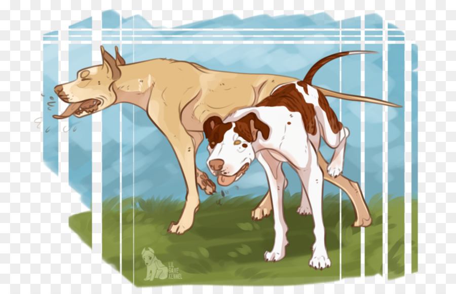 Cane di razza del bovino da Latte - cane