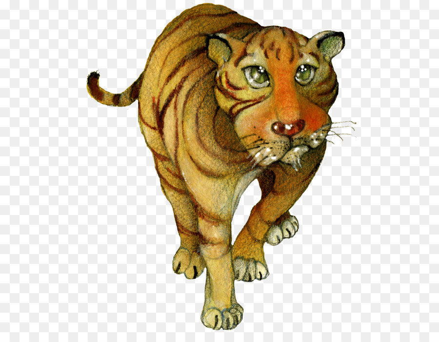 Hổ bảo Tàng lịch sử tự nhiên của Pisa Mèo-động vật trên mặt Đất - con hổ