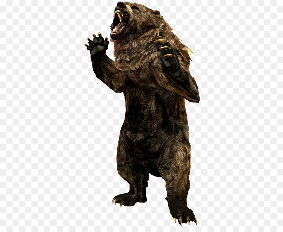 Grizzly bear The Elder Scrolls V: Skyrim – Dragonborn-Höhle-Bär-Tier-Alaska-Halbinsel Braunbär - Skyrim