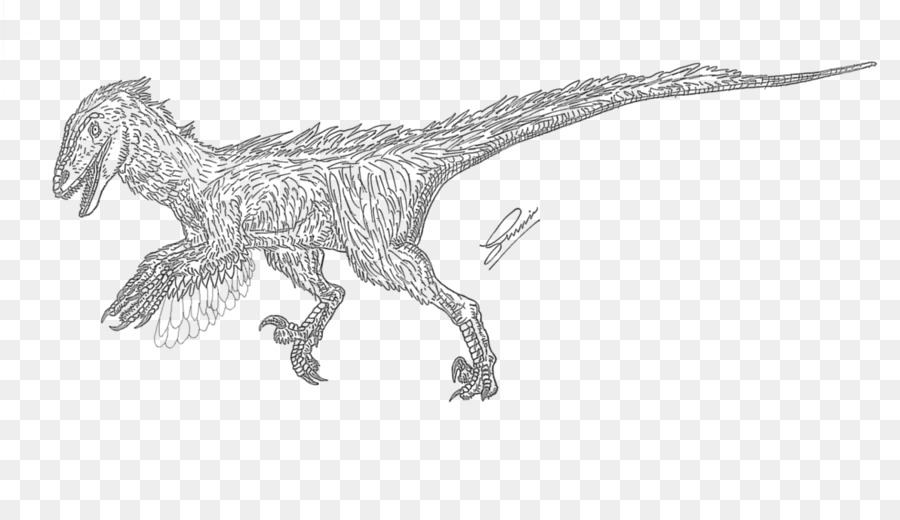 Velociraptor Deinonychus Tyrannosaurus Disegno Animale - primordiale deinonychus