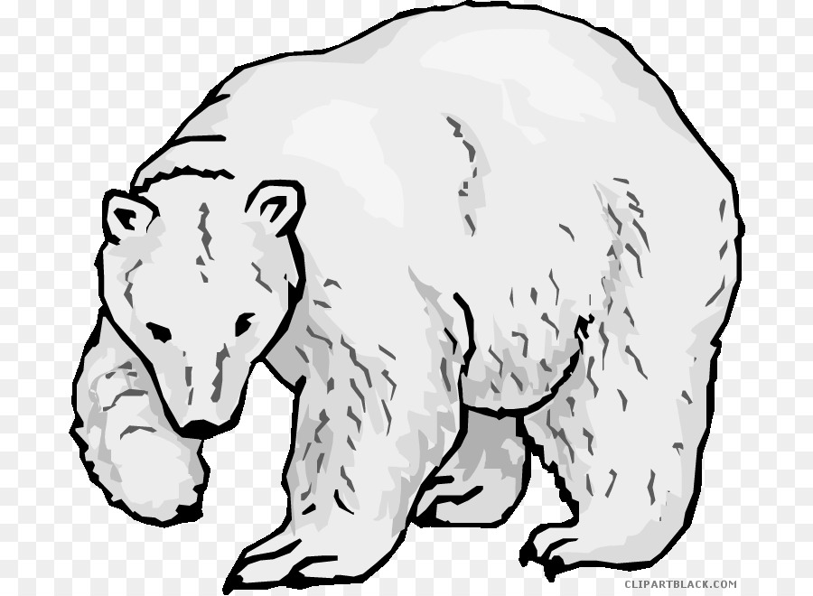 Eisbär Bedrohte Arten Malbuch Arctic fox - Eisbär