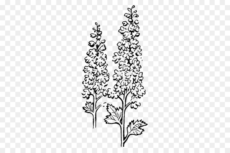 Zweig, Floral design Geschnitten, Blumen, Pflanze, Stamm Blatt - Wawes