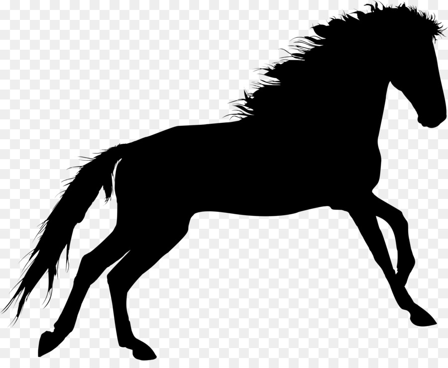 Pferd Silhouette Vergnügen Reiten Clip art - Pferd