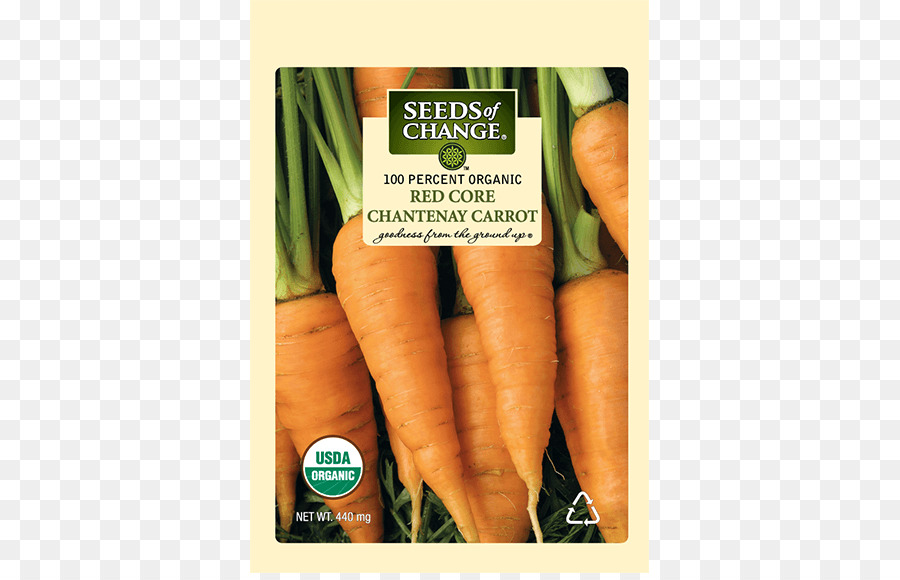 Baby-Karotten Bio-Lebensmittel Tatsoi Samen - Karotte