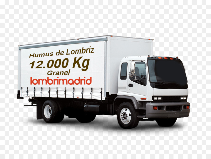 Auto Furgone camion pick-up Truck driver - auto