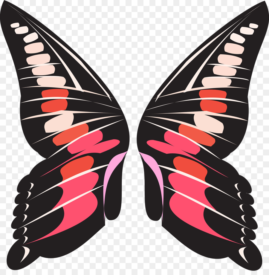 Monarca, farfalla, Insetto Pennello zampe farfalle - farfalla