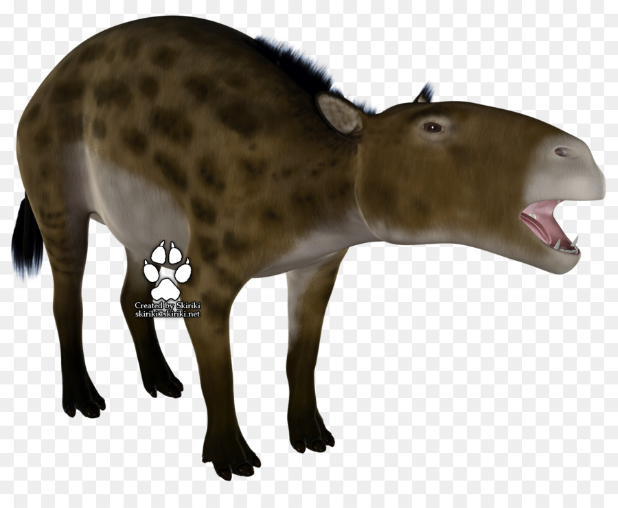Eurohippus Propalaeotherium Huftier Tier Aussterben - applaudiert