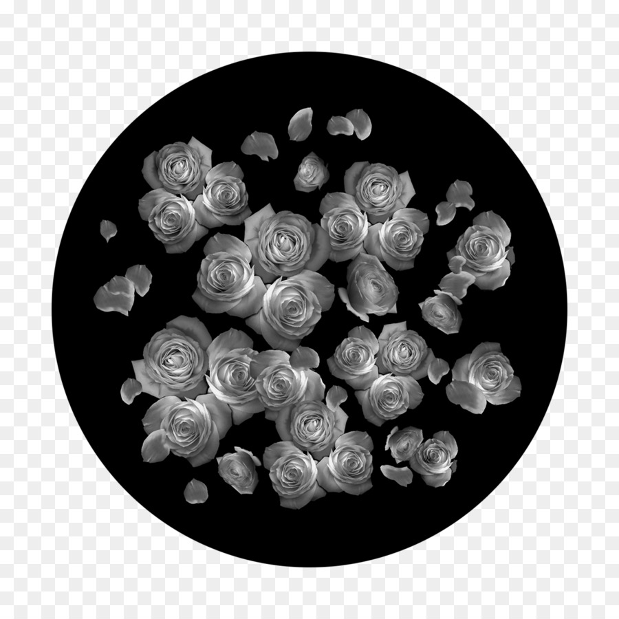 Gobo-Kreis Glas White Rose - Kreis