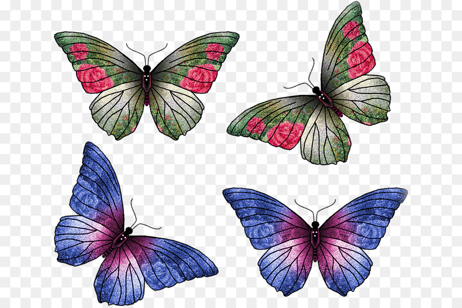 Monarch Schmetterling, Falter Pieridae Pinsel footed butterflies - Schmetterling