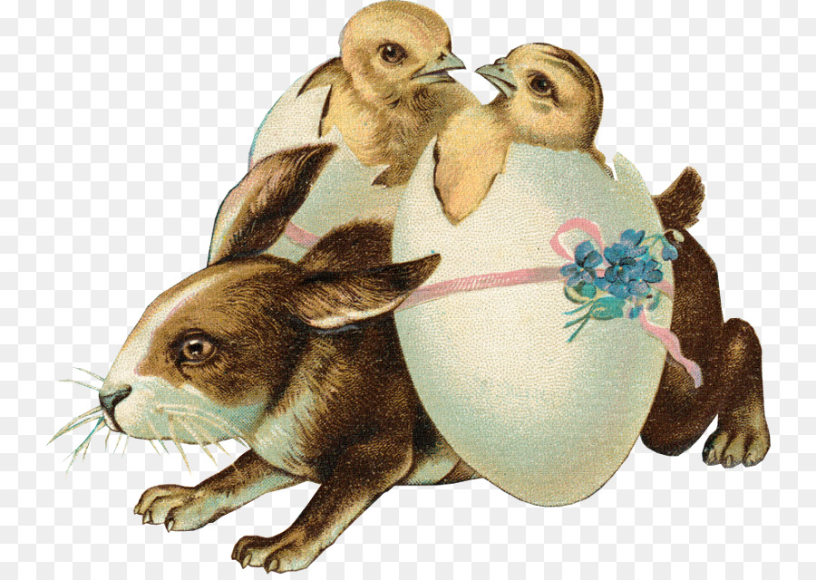 Osterhase Inländischen Kaninchen Ostern Postkarte frohe Ostern! - Ostern