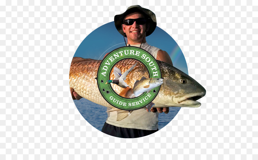 Coda di rospo alla Pesca di Marketing Web design - pesce