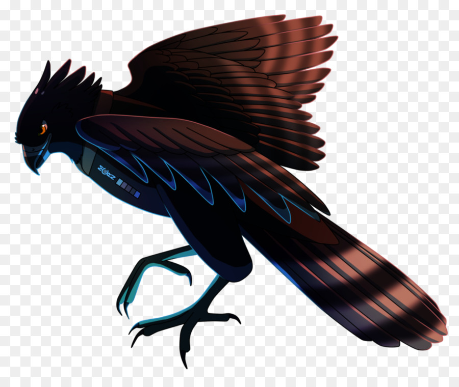 Black hawk-eagle Accipitridae Vogel - Adler