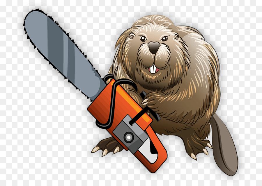 Beaver Motosega - castoro
