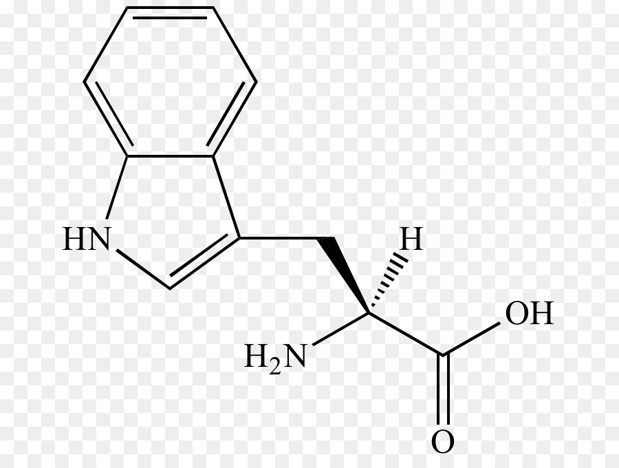 Fenilalanina Aminoacido Amine chimica Organica - Aminoacidi