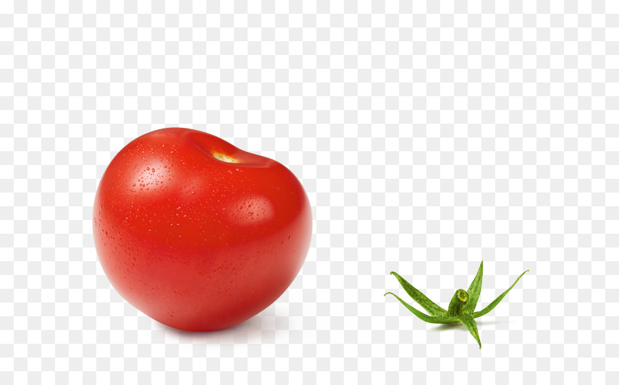 Mai, cà chua chua Bụi cây cà chua thức Ăn Hamburger - quả anh đào