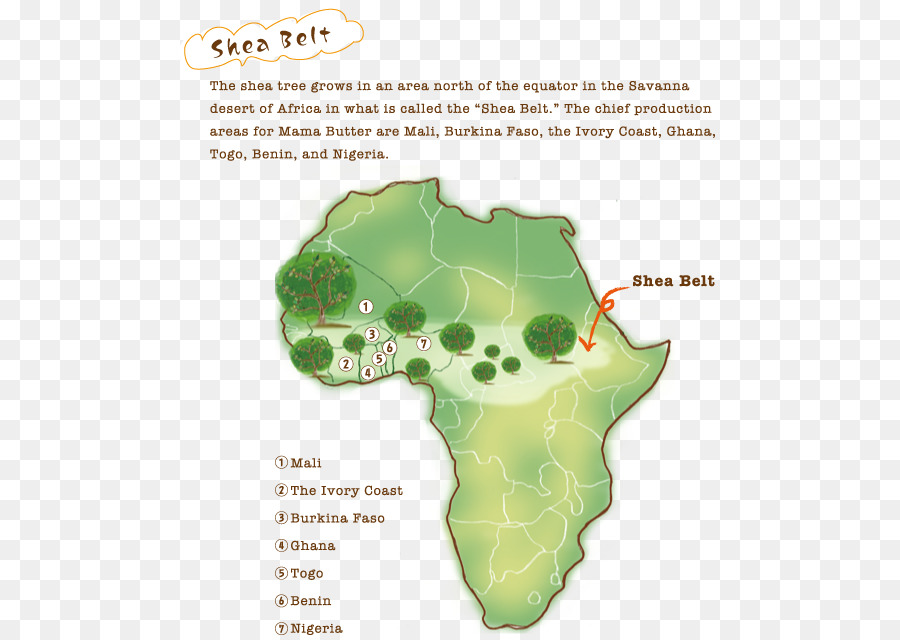 Il burro di karité Vitellaria Africa Cosmetici - karité
