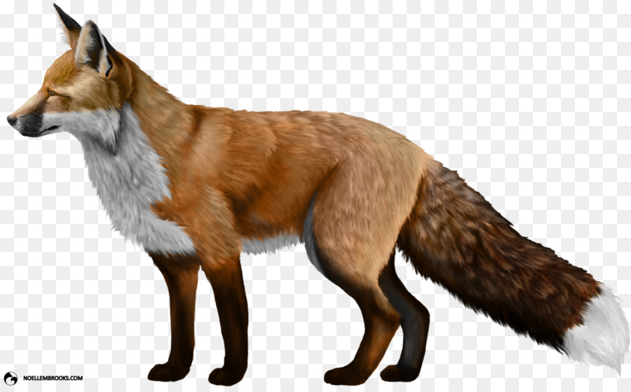 Đỏ fox Clip nghệ thuật - cáo