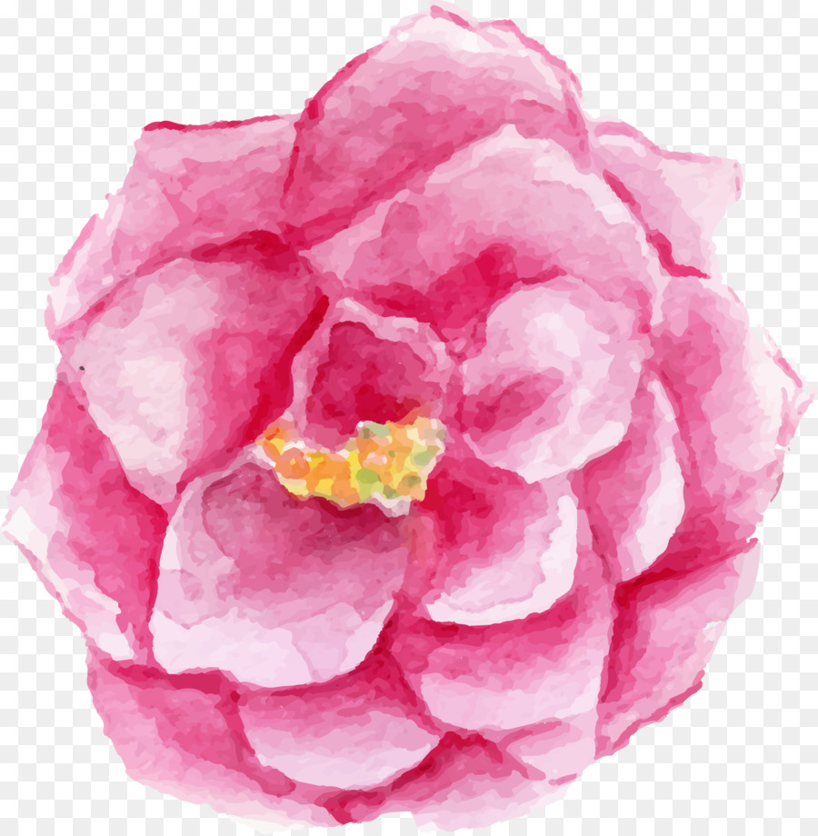 Garten Rosen Schneiden, Blumen Kohl rose Floribunda - Blume