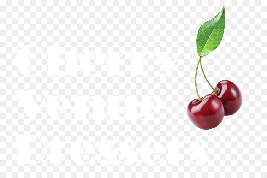 Cây dâu đỏ Cranberry Vẫn còn sống nhiếp ảnh Siêu Cherry - quả anh đào
