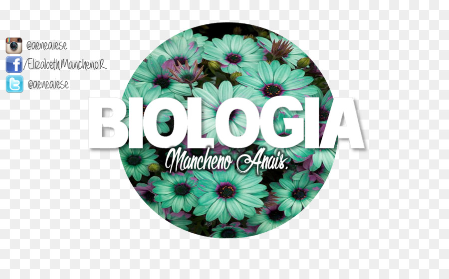 Biologie Abiogenesis Relativitätstheorie Wissenschaft - Wissenschaft