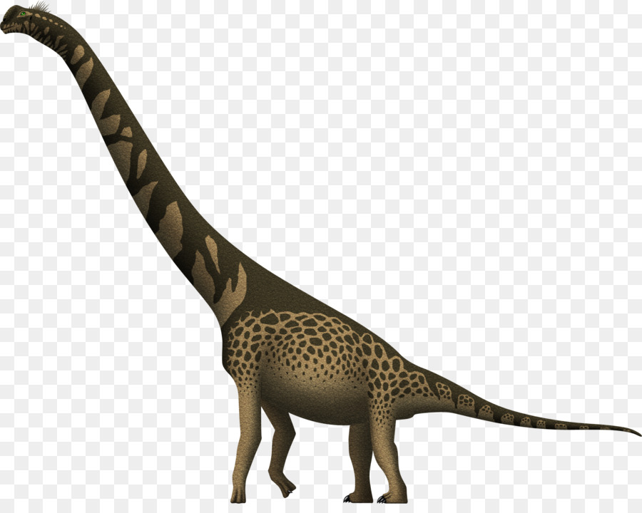Cedarosaurus Die Giraffe Und Brachiosaurus Giraffatitan Barremian - Giraffe