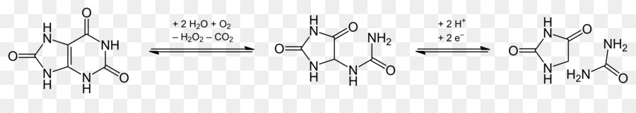 Hydantoin Kondensations-Reaktion Heterocyclic compound-Lactam - Allantoin