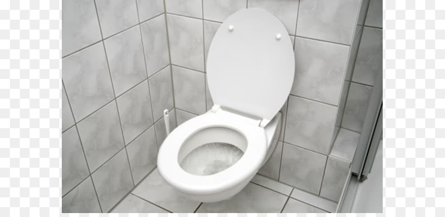 WC & Bidet-Sitze-Bad-Wand-Abziehbild-Flush Toilette - WC