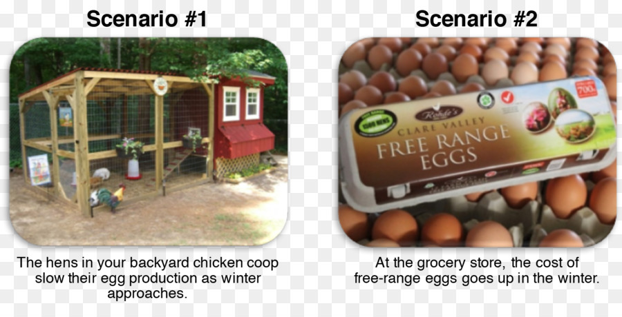 Huhn aus Freilandhaltung, Eier aus Freilandhaltung Landwirtschaft - Huhn
