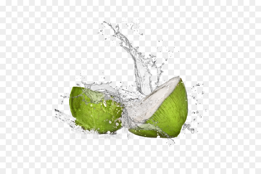 Das Wasser der Kokosnuss Key lime Still life Fotografie Desktop Wallpaper - Kokosnusswasser
