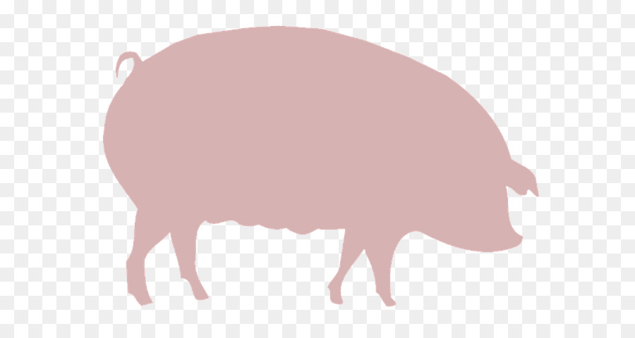 Hausschwein Landwirtschaft, Farm Clip art - Schwein