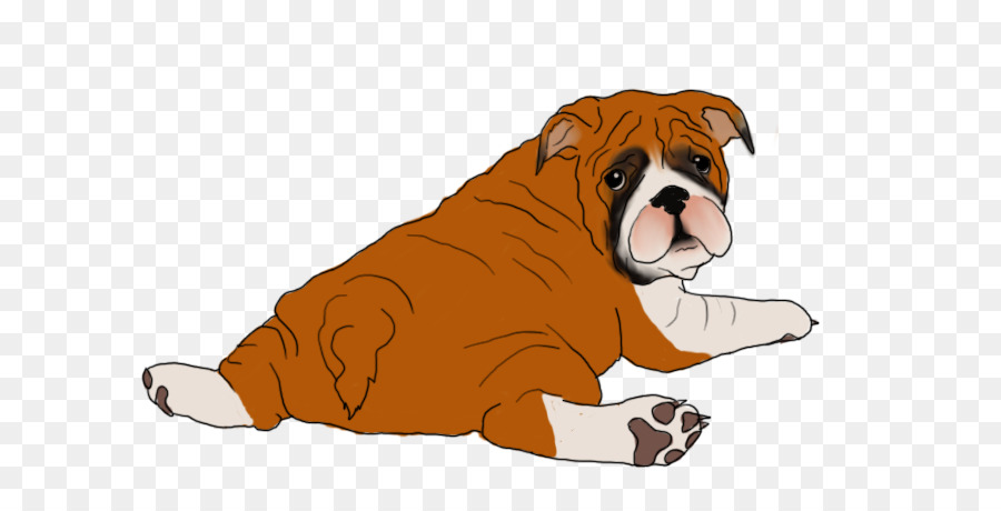 Bulldog Cucciolo di Cane di razza cane da compagnia Non di un gruppo di sportivi - giglio della valle
